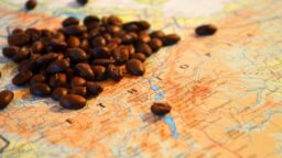 Historia del café, Origen Ethiopia, origen del café, expansión del café por el mundo