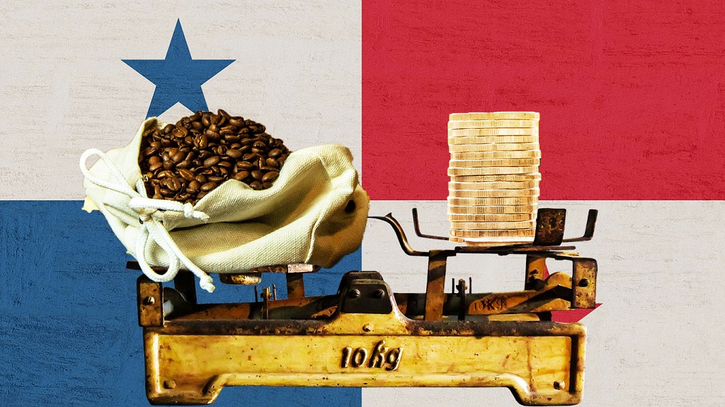 Cafe geisha, cafe geisha panama