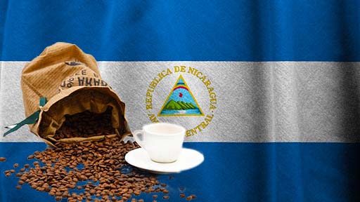 café en Nicaragua, café de Nicaragua, café nicaragüense