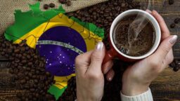 café brasilero, café brasileño, café del brasil