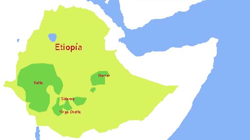 Regiones de café en Etiopía, Regiones de café de Etiopía
